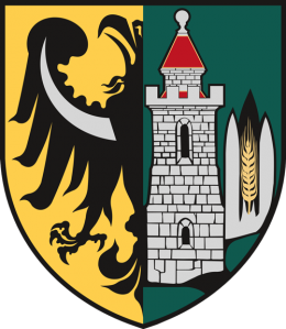 INŻYNIER KONTRAKTU: Budowa inkubatora przedsiębiorczości w Parku Wrocławskim w Lubinie / 2021 - 2022