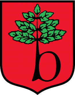 INŻYNIER KONTRAKTU: Budowa sieci wodociągowej w Otrębusach i Kaniach / 2009 - 2012