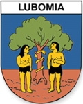 INŻYNIER KONTRAKTU:Przebudowa drogi powiatowej w ciągu ul. Korfantego oraz ul. Mickiewicza w Lubomi / 2019 - 2020