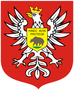 INŻYNIER KONTRAKTU: Rozbudowa mostu na rzece Narew w Ostrołęce / 2017 - 2025