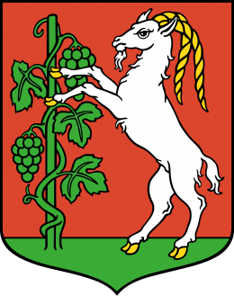 PROJEKTOWANIE: Opracowanie dokumentacji optymalizacji systemu mieszania osadu przefermentowanego - Oczyszczalnia Ścieków Hajdów / 2016